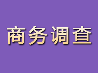 八公山商务调查